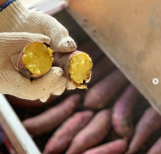 紅はるか　冷凍焼き芋8本詰め合わせ