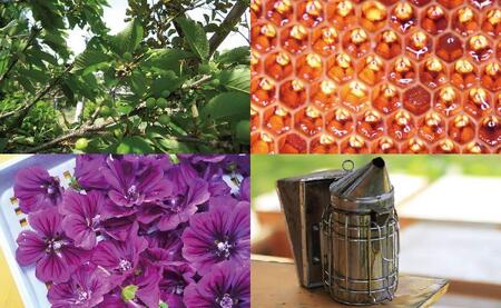 粗ごし非加熱生はちみつ