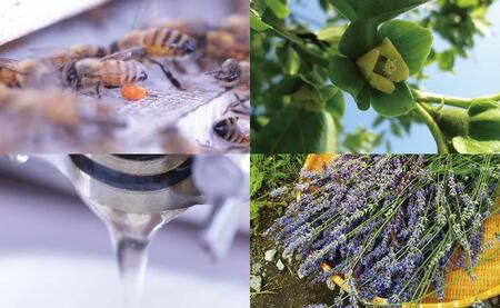 粗ごし非加熱生はちみつ