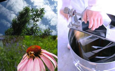 粗ごし非加熱生はちみつ