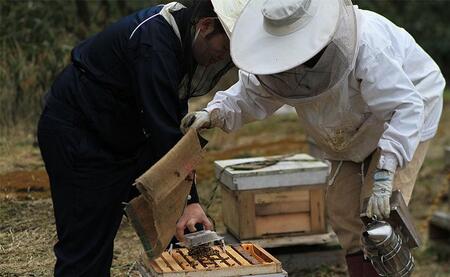 粗ごし非加熱生はちみつ