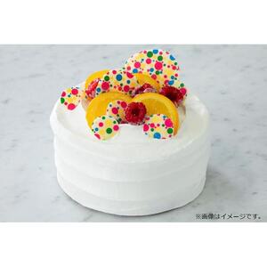 レインボーケーキ 富山県富山市 ふるさと納税サイト ふるなび
