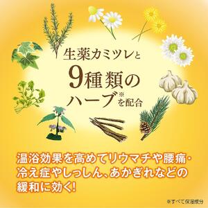 【医薬部外品】薬用生薬浴常備浴×2箱