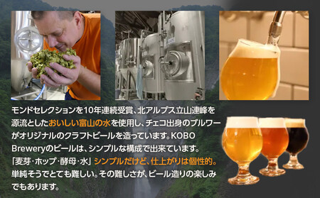 ペールエール　６本セット　クラフトビール