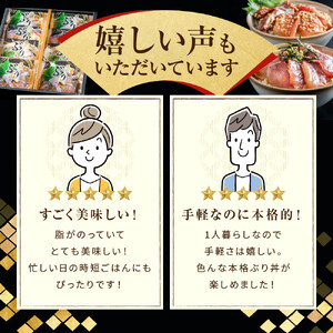 富山湾の天然ぶり丼セット 8袋 | ブリ ぶりづけ なめろう ごま漬け 冷凍 丼の具