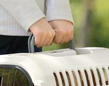 キャンピングキャリーファイン M【アイボリー】 犬 猫 ペット