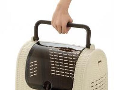 ラタンキャリー【アイボリー】 犬 猫 ペット