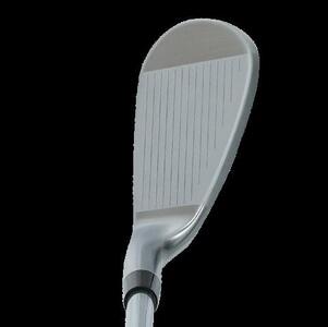 Rex&Regina FORGED IRON GW N.S.PRO 950 GH フレックスSR