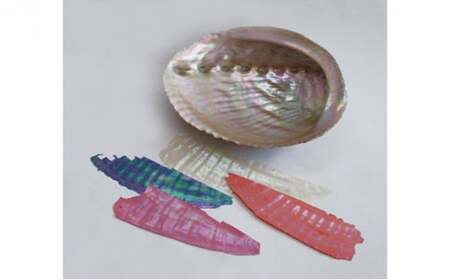 A4浅文庫 赤富士（貝入）黒 雑貨 日用品 文房具 工芸品  FAD-1226