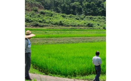 富山県産コシヒカリ 5kg 高岡市 米 精米