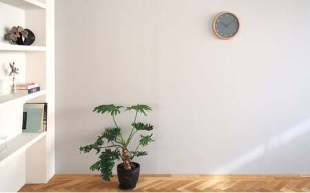 Campagne couleur / PC24-03 BL 壁掛け時計 時計 Lemnos レムノス インテリア 民芸品 工芸品 工芸 伝統技術 壁掛け  FAD-1330