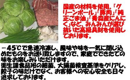 餃子 みんみんの餃子 80コ （8コ×10パック） 餃子専門店 みんみん みんみん餃子 ギョーザ ぎょうざ ギョウザ 富山 惣菜 おかず 中華 点心 冷凍 冷凍食品 肉加工品 加工品 富山県高岡市  FAD-0002