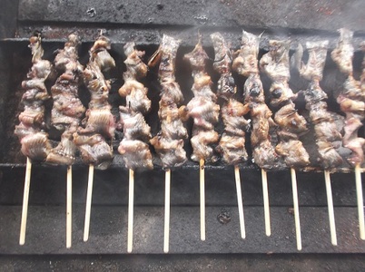 うなぎとどじょうの蒲焼 うなぎ8切 どじょう本 富山県高岡市 ふるさと納税サイト ふるなび