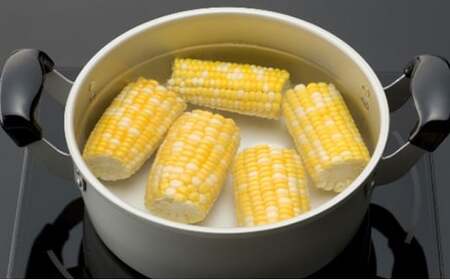 蒸し器 ガス火用 ゆうげ紀行蒸し器セット 30cm 両手鍋 セット 蓋 蓋付き せいろ 蒸し料理 アルミ製 北陸アルミ 北陸アルミニウム 日本製 調理器具 キッチン用品 日用品 富山県 雑貨  FAD-0489