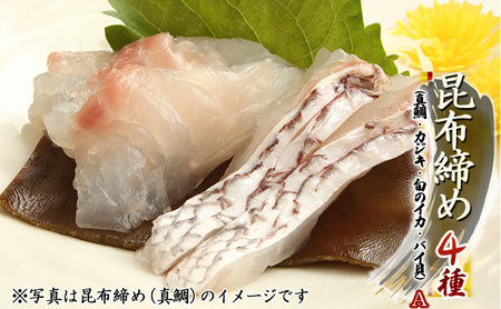 【NEW特価】愛媛県産魚介セット　加工済　10キロ 魚介類(加工食品)