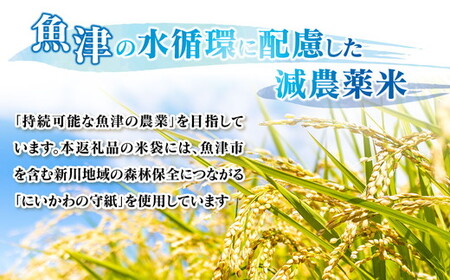 3ヶ月定期便「魚津のコシヒカリ（晃米）」5kg（白米）環境配慮おこめ 富山県魚津市 MK農産