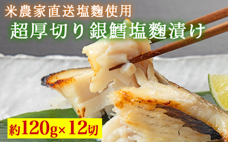 超厚切り銀鱈塩麹漬 12切入 ※北海道・沖縄・離島への配送不可
