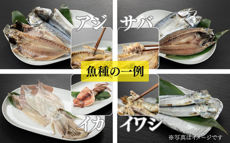 おまかせ訳あり干物セット(3~5種) 約2.5kg 富山 魚津 浜浦水産 自家用 家庭用