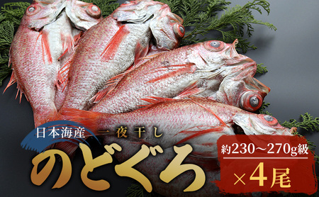 富山湾産 のどぐろ開き 230g~270g 4尾(のど黒・アカムツ) 富山 魚津 浜浦水産
