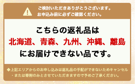 ますの寿司 2段2個 鱒ずし 鱒寿司 ます寿司 ※北海道、青森、九州、沖縄、離島配送不可