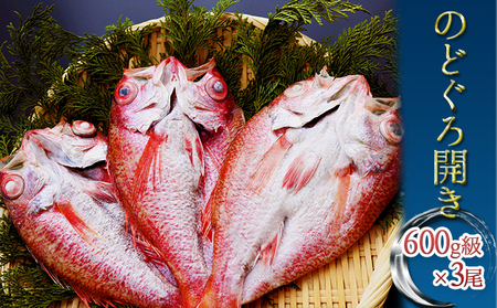 極 富山湾産 のどぐろ開き 600g級 3尾 富山県魚津市 ふるさと納税サイト ふるなび