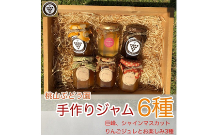 桃山ぶどう園の手作りくだものジャム6種（巨峰、シャインマスカット、りんごジュレとお楽しみ3種）　※北海道・沖縄・離島への配送不可　※2025年9月中旬頃より順次発送予定