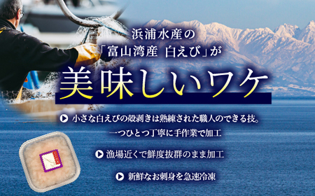 白えび 刺身 富山湾の宝石しろえび 100g×2個 200g セット 浜浦水産