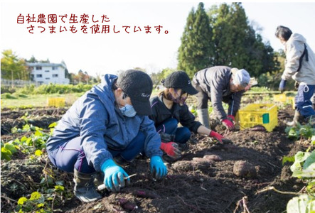 【ぶどうの森】大人気！干しいも3種 食べ比べセット（平干し、石焼き芋丸干し、丸干し） ｜ ほしいも ほし芋 干し芋 干しいも 国産 野菜 サツマイモ さつまいも ※北海道・沖縄・離島への配送不可 ※2026年1月下旬～7月下旬頃に順次発送予定