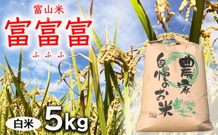 【令和7年度米】農家直送「 富富富 」5kg(白米)|富山米 ふふふ ※北海道・沖縄・離島への配送不可