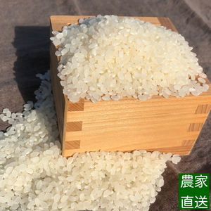 【令和7年度米】農家直送「 富富富 」5kg(白米)|富山米 ふふふ ※北海道・沖縄・離島への配送不可