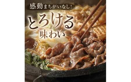 極上の黒毛和牛氷見牛すき焼き用肉 500g | 牛肉 ブランド牛 和牛 国産牛 すき焼き 赤身 モモ 氷見牛すき焼き 人気 おすすめ すき焼き肉 もも肉 記念日 黒毛和牛 薄切り 冷凍 ギフト すき焼き用牛肉 国産 和牛 絶品 高級 極上 特選 