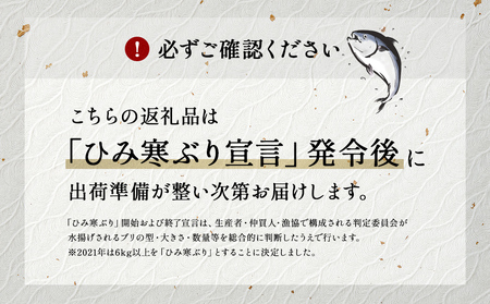 ＜半身＞氷見の寒ぶり　8～10kg台物 真空パック【ひみ水産】※配送エリア限定※　