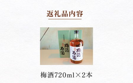氷見稲積梅酒原酒（2本セット）