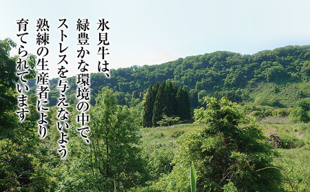 A4ランク以上！氷見牛のももを使ったサイコロステーキ220g 〈冷凍〉