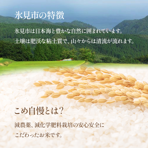 令和7年産富山県産特別栽培米コシヒカリ《こめ自慢》5kg