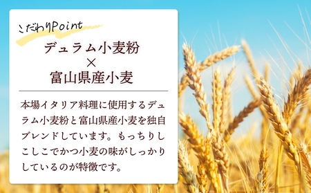 氷見パスタ10人前　【麺類・パスタ】