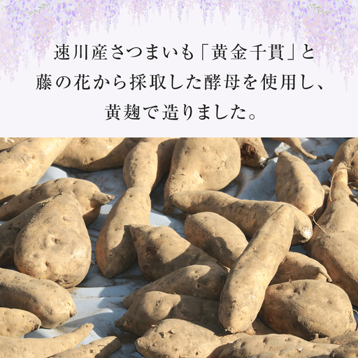 芋焼酎 臼が峰原酒（37度）2本セット| 焼酎 芋焼酎 さつまいも 黄金千貫 原酒 お酒 お取り寄せ 本格焼酎 いも焼酎 家飲み 富山 氷見 