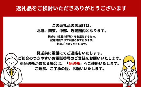 【3回 定期便】 氷見漁港朝どれ!旬の新鮮刺身おまかせセット 2、3人前(3月・6月・11月)