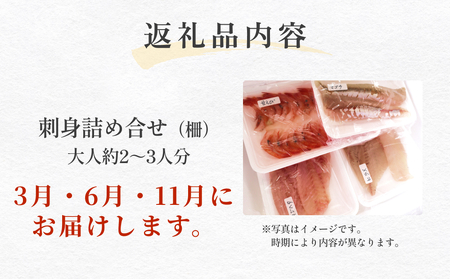 【3回 定期便】 氷見漁港朝どれ!旬の新鮮刺身おまかせセット 2、3人前(3月・6月・11月)