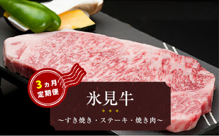 氷見牛 3ヶ月連続お届け 【定期便・牛肉・お肉】 | 富山県氷見市