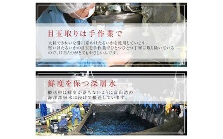 【1月以降順次発送】越中氷見屋　ホタルイカ沖漬け4種（A1セット）　| ホタルイカ ほたるいか いか 珍味 沖漬け 醤油 柚子 辛 味噌 富山 富山湾 氷見 つまみ 酒の肴 瓶 冷凍 産地直送 無添加 特製 魚介 加工 詰め合わせ セット