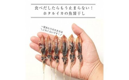 越中氷見屋　ホタルイカ 魚醤干し 18尾入り × 5袋　| ホタルイカ ほたるいか いか 珍味 魚醤 富山 富山湾 氷見 つまみ 酒の肴 産地直送 無添加 魚介 名産 小分け 姿干し 