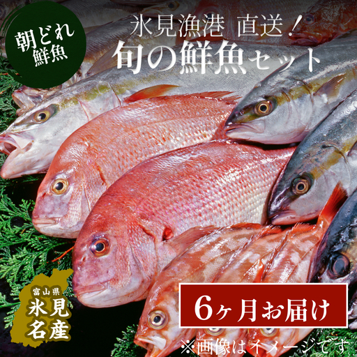天然のいけす 富山湾 氷見漁港直送！ 旬の鮮魚セット 定期便6ヶ月連続お届け 鮮魚詰め合わせ 旬の鮮魚 定期便 新鮮魚介 セット 全6回定期便 氷見漁港より直送 海鮮 鮮魚セット 魚介 旬の海鮮 定期便 富山湾鮮魚 定期便