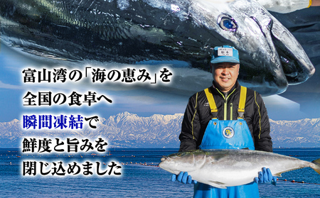 【魚問屋産地直送】氷見漁港から直送！老舗魚問屋が競り落とした魚を〈冷凍〉柵状でお届け | 刺身セット 鮮魚 詰め合わせ 富山湾 海の幸 魚介類 お魚 刺し身 さしみ 氷見漁港 柵 冷凍 瞬間凍結 