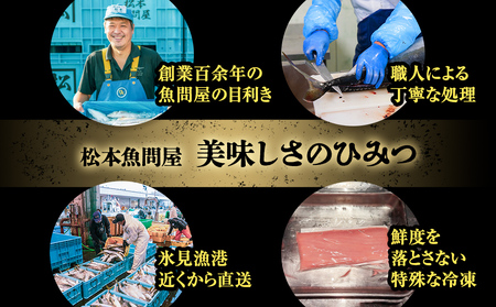 【魚問屋産地直送】氷見漁港から直送！老舗魚問屋が競り落とした魚を〈冷凍〉柵状でお届け | 刺身セット 鮮魚 詰め合わせ 富山湾 海の幸 魚介類 お魚 刺し身 さしみ 氷見漁港 柵 冷凍 瞬間凍結 