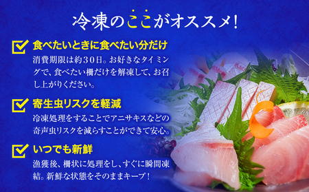 【魚問屋産地直送】氷見漁港から直送！老舗魚問屋が競り落とした魚を〈冷凍〉柵状でお届け | 刺身セット 鮮魚 詰め合わせ 富山湾 海の幸 魚介類 お魚 刺し身 さしみ 氷見漁港 柵 冷凍 瞬間凍結 