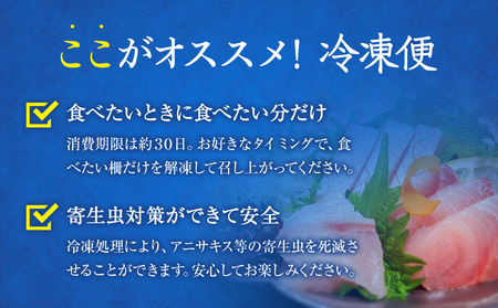 【偶数月 全3回 定期便】氷見漁港で競り落としたお刺身詰め合わせセット 〈冷凍〉　|   刺身セット 鮮魚 詰め合わせ 富山湾 海の幸 魚介類 お魚 刺し身 さしみ 氷見漁港 柵 冷凍 瞬間凍結  隔月 定期便 お刺身 2から3種 詰め合わせ お刺身 柵 定期便 新鮮 魚介 セット 氷見漁港 水揚げ 海鮮 お刺身 セット 魚介 富山湾 海鮮 定期便 富山湾 切るだけ お刺身 定期便 刺身