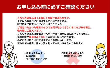 【土曜日着】でっかいシュークリーム 2個入 