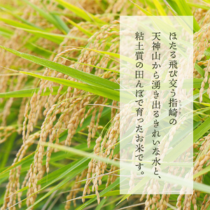 令和5年産 富山県産特別栽培米 富富富５kg