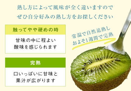 【先行予約】富山県産キウイ（翡翠グリーン）8個（約１kg）ギフトボックス入り ＜10月以降順次発送＞  | 国産 数量限定 グリーンキウイ 富山 氷見 果物 フルーツ キウイ ギフト プレゼント 希少 品種 甘い